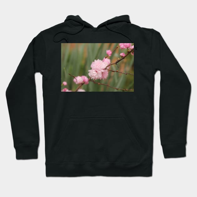 Flowering Pink Almond Hoodie by PurpleKittyCat